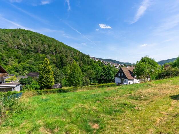 Grundstück zum Kauf 25.000 € 472 m² Grundstück Wallau Biedenkopf 35216