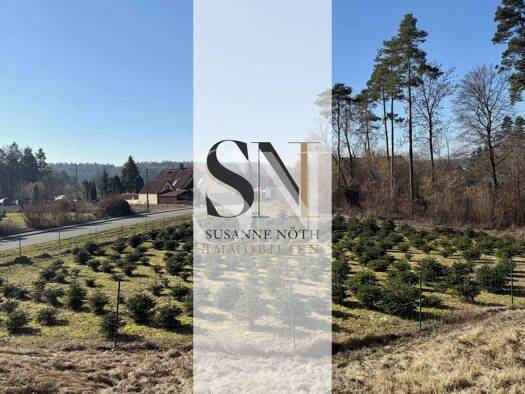 Grundstück zum Kauf 175.000 € 2.062 m² Grundstück Bieberbach Egloffstein 91349