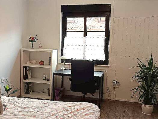 Wohnung zur Miete 570 € 4 Zimmer 17 m² 2. Geschoss frei ab sofort Textorstraße 15 Altstadt Würzburg 97070
