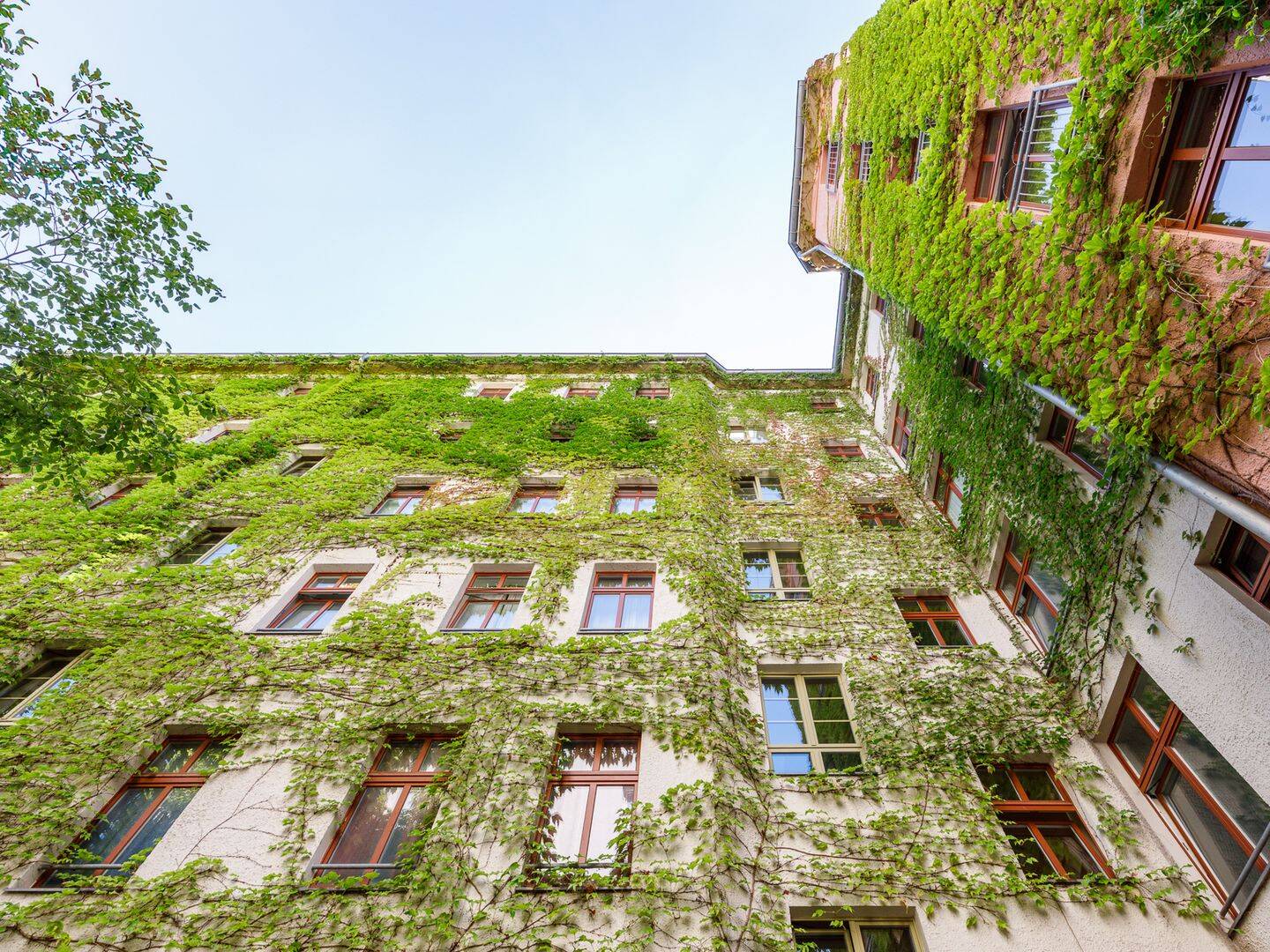 Property thumbnail 16