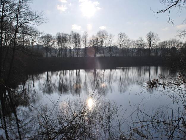 Terrassenwohnung zur Miete 1.140 € 4 Zimmer 134 m² Geschoss EG/3 frei ab 01.04.2026 Am Ziegeleiteich 16 Steinfeld 49439