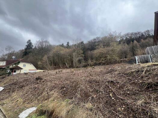 Grundstück zum Kauf 305.000 € 764 m² Grundstück Pilsach 92367