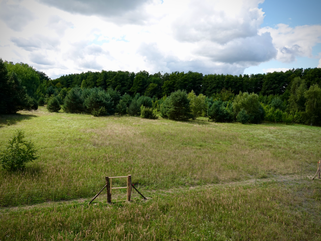 Einfamilienhaus zum Kauf - Erstbezug provisionsfrei 739.000 € 5 Zimmer 148 m² 1.637 m² Grundstück Storkower Straße 19L Königs Wusterhausen 15711