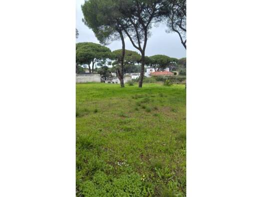 Acker-/Waldstück zum Kauf 165.000 € Chiclana de la Frontera 11130