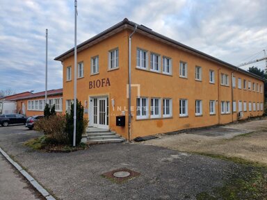 Büro-/Praxisfläche zur Miete provisionsfrei 5,50 € 1.020 m² Bürofläche teilbar ab 450 m² Bad Boll Bad Boll 73087