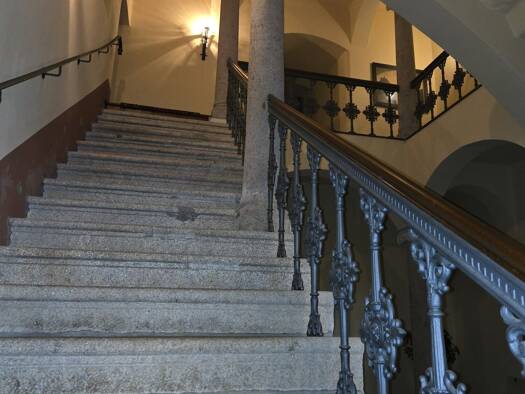 Schloss zum Kauf 22 Zimmer 620 m² 9.500 m² Grundstück Schönberg Bad Brambach 08648