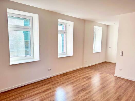 Wohnung zur Miete 800 € 2 Zimmer 55 m² Geschoss 1/3 frei ab sofort Plagwitz Leipzig 04229