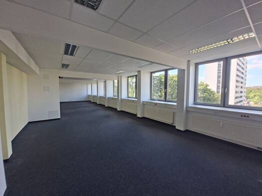 Bürofläche zur Miete provisionsfrei 3.050 € 4 Zimmer 217,9 m² Bürofläche Wilsdruffer Vorstadt/Seevorstadt-West Dresden 01067