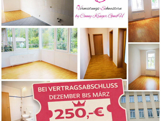 Wohnung zur Miete 410 € 3 Zimmer 75 m² EG frei ab sofort Rößlerstraße 18c Altchemnitz Chemnitz 09120