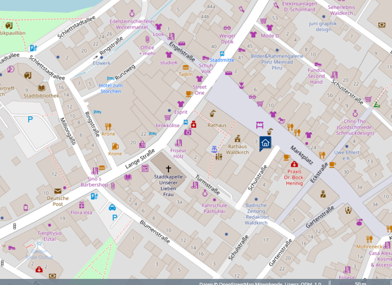 Wohnung zum Kauf provisionsfrei 297.000 € 2 Zimmer 52 m² 2. Geschoss Waldkirch 79183