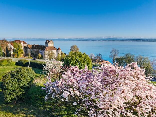 Mehrfamilienhaus zum Kauf 2.998.000 € 11 Zimmer 343 m² 1.592 m² Grundstück Meersburg 88709