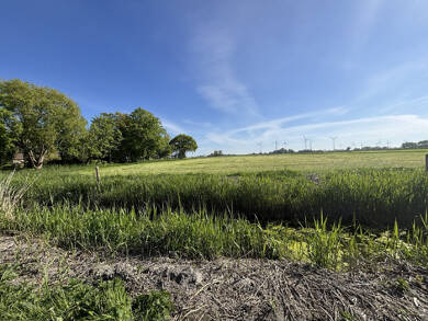 Land-/Forstwirtschaft zum Kauf 450.000 € 145.198 m² Grundstück Tossens Butjadingen 26969