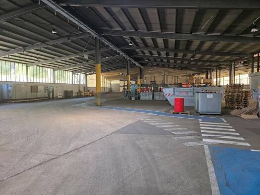 Lagerhalle zur Miete provisionsfrei 5.000 m² Lagerfläche teilbar ab 250 m² Grünstadt Grünstadt 67269