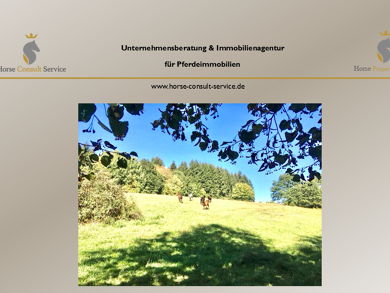 Reiterhof zum Kauf 1.559.000 € 780 m² 21.730 m² Grundstück Adelmannsfelden Adelmannsfelden 73486