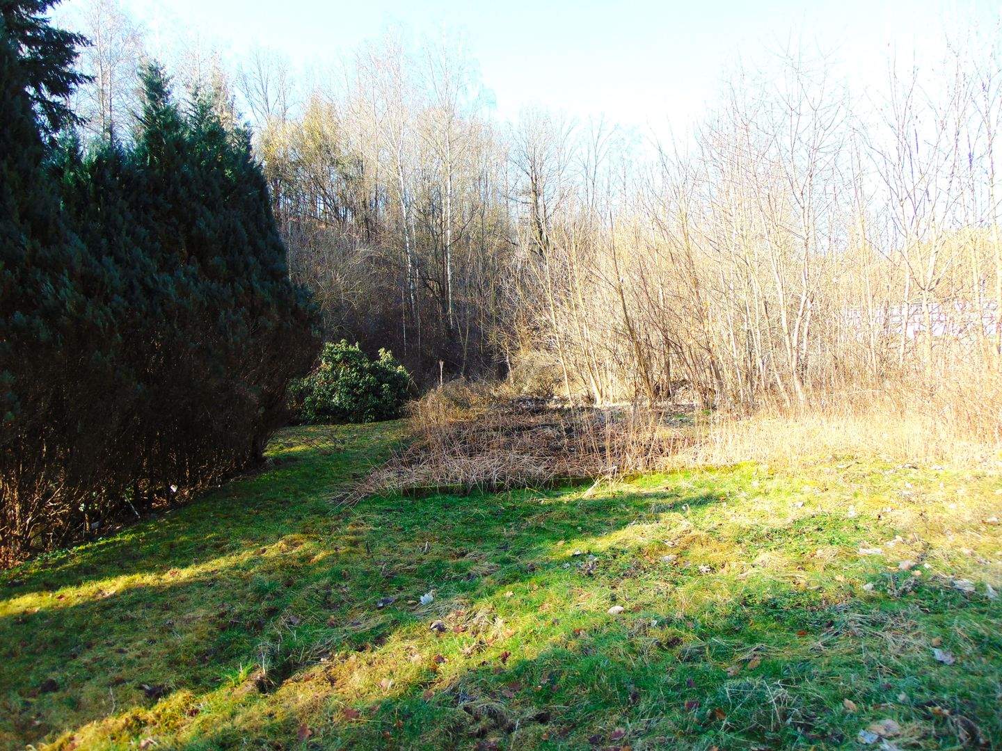 Immobilie in Königshain-Wiederau - ***Für Kinder und Tiere erlaubt!!! - Bild 2