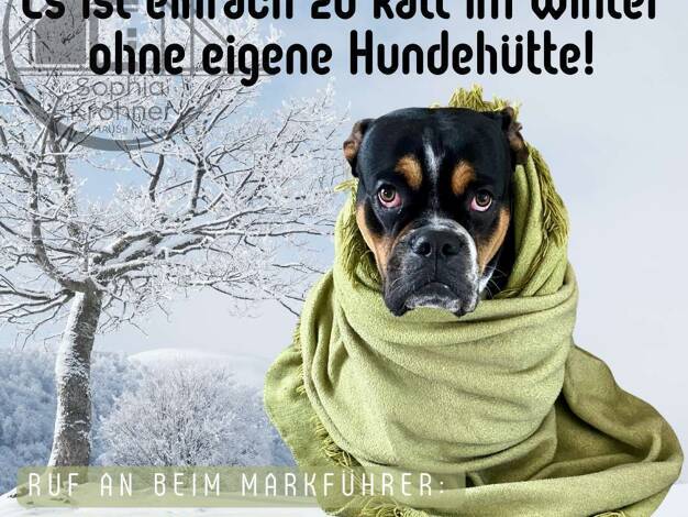 Einfamilienhaus zum Kauf - Erstbezug provisionsfrei 219.579 € 5 Zimmer 180 m² 1.238 m² Grundstück Knobelsdorf Ziegra-Knobelsdorf 04736