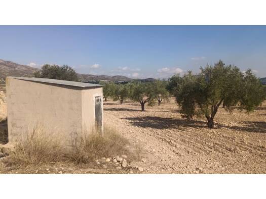 Acker-/Waldstück zum Kauf 119.999 € Salinas 00000