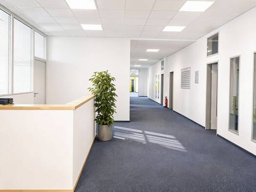 Bürofläche zur Miete provisionsfrei 1.124 m² Bürofläche teilbar ab 1.124 m² Bettenhausen Kassel 34123
