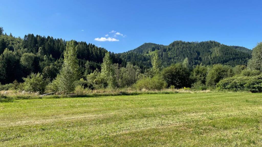 Grundstück zum Kauf 430.000 € 7.840 m² Grundstück Stanz im Mürztal 8653