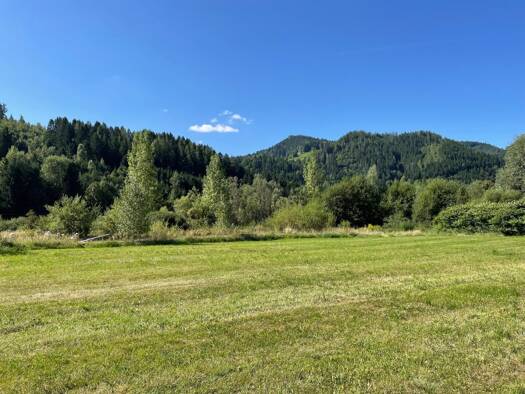 Grundstück zum Kauf 398.000 € 7.840 m² Grundstück Stanz im Mürztal 8653
