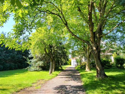 Wohnung zur Miete 800 € 3 Zimmer 86 m² Geschoss 1/2 frei ab 01.10.2026 Lüstringen Osnabrück 49086