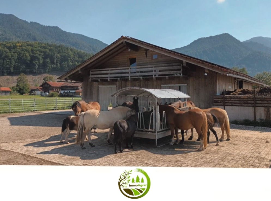 Land-/Forstwirtschaft zur Miete 1.700 € 198.592 m²<br/>Fläche 198.592 m²<br/>Grundstück Ort Kochel am See 82431