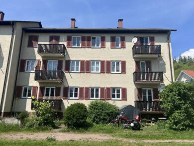 Mehrfamilienhaus zum Kauf 720.000 € 18 Zimmer 328 m² 263 m² Grundstück Hausen im Wiesental 79688