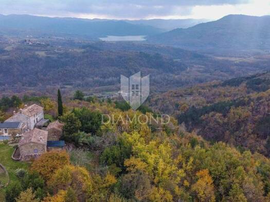 Land-/Forstwirtschaft zum Kauf 299.000 € Motovun Motovun