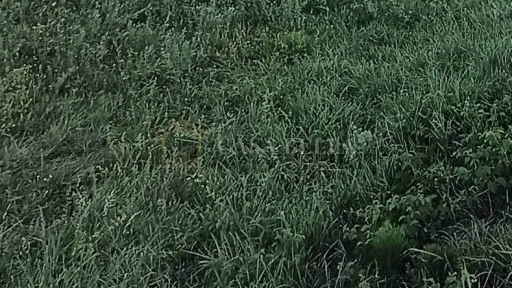 Land-/Forstwirtschaft zum Kauf 190.000 € Durdekovec, Sesvete Sesvete sjever