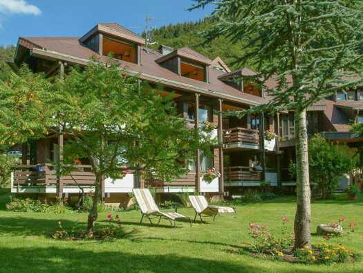 Mehrfamilienhaus zum Kauf 750.000 € 19 Zimmer 3.791 m² Grundstück Fahl Todtnau 79674