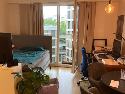 Wohnung zur Miete 720 € 1 Zimmer 26 m² Geschoss 5/5 frei ab 01.11.2026 Petershausen Konstanz 78467