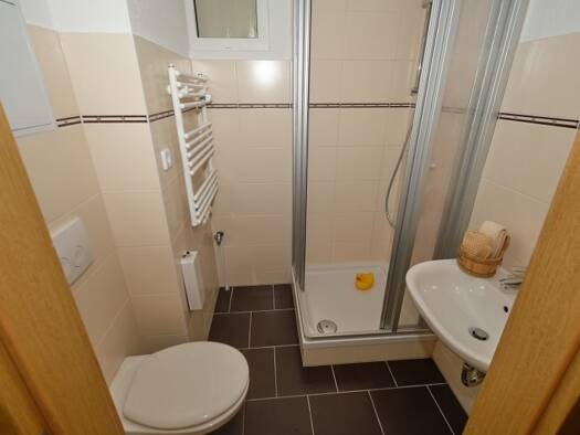 Wohnung zur Miete 161 € 1 Zimmer 24,8 m² 1. Geschoss Rosa-Luxemburg-Str. 8 Hohenmölsen 06679