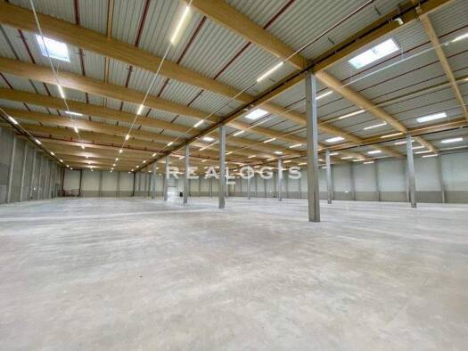 Halle/Industriefläche zur Miete provisionsfrei 23.530 m² Lagerfläche teilbar ab 7.814 m² Gifhorn Gifhorn 38518
