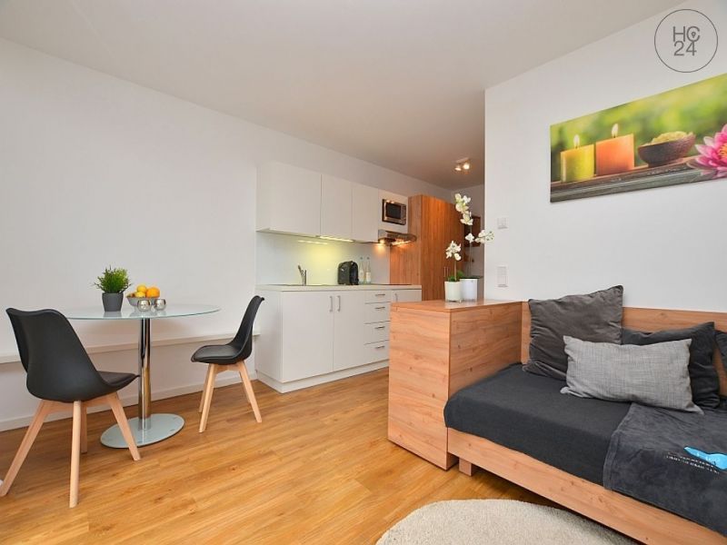 Wohnung zur Miete Wohnen auf Zeit 1.190 € 1 Zimmer 30 m²<br/>Wohnfläche 01.03.2025<br/>Verfügbarkeit Euerbach Euerbach 97502