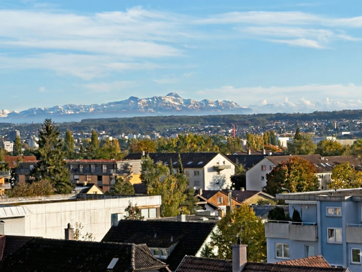 Maisonette zur Miete - Erstbezug 3.300 € 4,5 Zimmer 165 m² frei ab sofort Fürstenberg Konstanz 78467