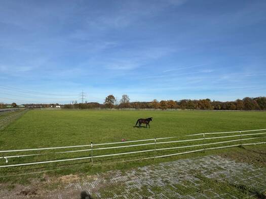 Reiterhof zum Kauf 8.522 m² Grundstück Renchen Renchen 77871