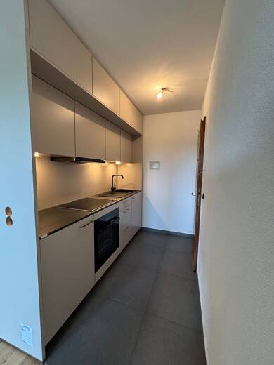 Wohnung zur Miete 550 € 1 Zimmer 30 m² 2 Geschosse Schönwald im Schwarzwald 78141