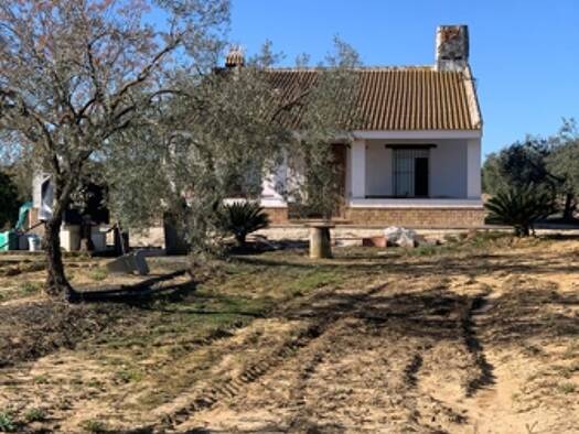 Bauernhaus zum Kauf provisionsfrei 142.000 € 5 Zimmer 120 m² 40.000 m² Grundstück Rociana del Condado 21720