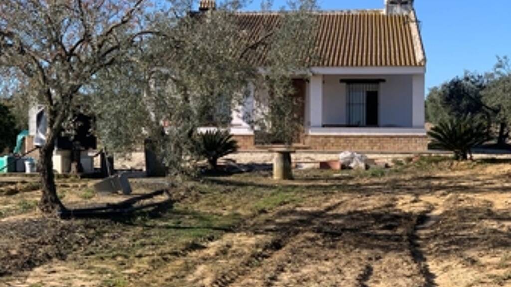 Bauernhaus zum Kauf provisionsfrei 142.000 € 5 Zimmer 120 m² 40.000 m² Grundstück Rociana del Condado 21720