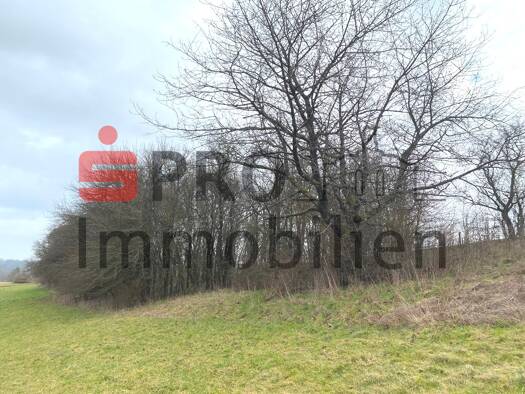 Grundstück zum Kauf 87.000 € 14.899 m² Grundstück Blieskastel 66440