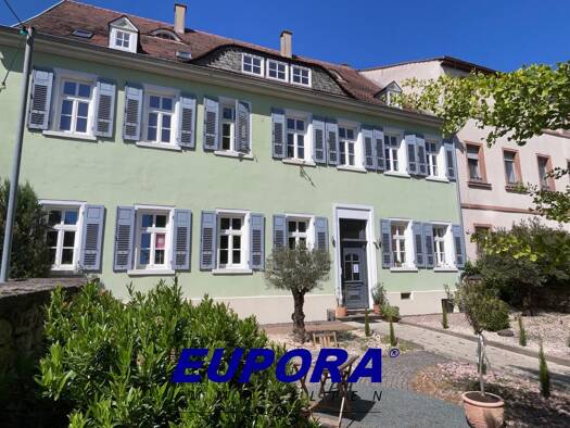 Bürofläche zur Miete provisionsfrei 530 € 2 Zimmer 31,9 m² Bürofläche Kirchheimbolanden Kirchheimbolanden 67292