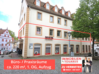 Praxisfläche zur Miete provisionsfrei 800 € 10 Zimmer 220 m² Bürofläche Rathausplatz 1 Ottweiler Ottweiler 66564