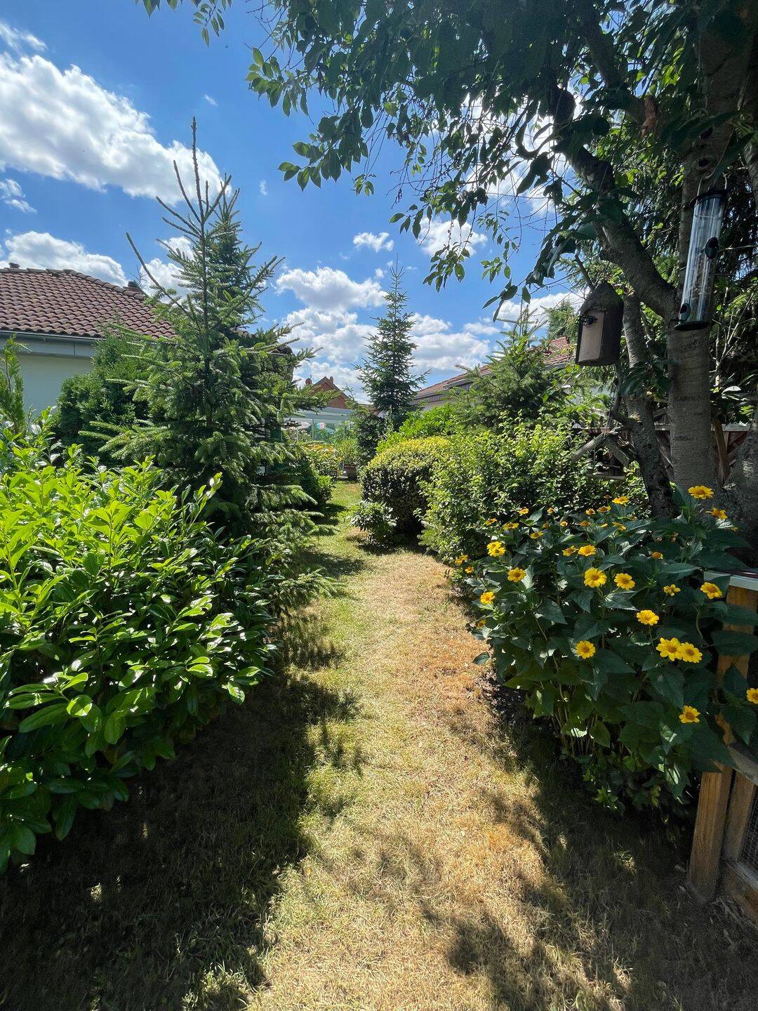 Einfamilienhaus zum Kauf - Ansicht 6
