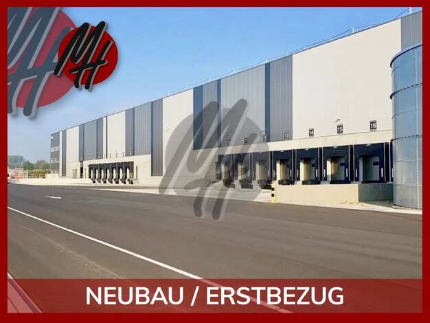 Halle/Industriefläche zur Miete - Erstbezug 15.500 m² Lagerfläche Großer Silberberg Großer Silberberg 39130