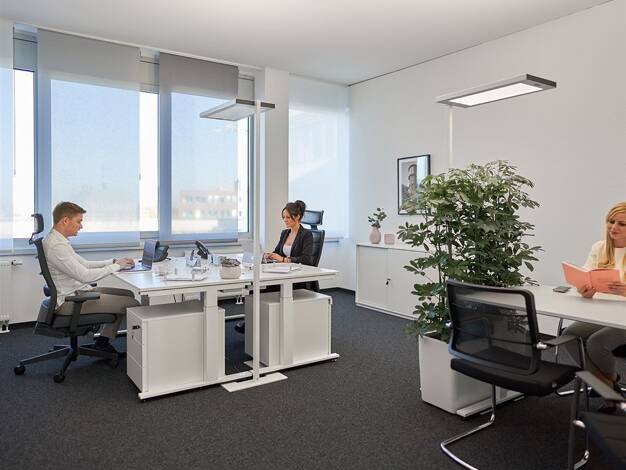Bürofläche zur Miete - Erstbezug provisionsfrei 700 € 29,3 m² Bürofläche Stresemannallee 4 b Hammfeld Neuss 41460