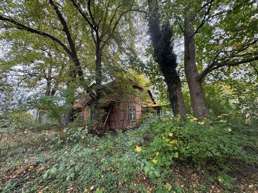 Einfamilienhaus zum Kauf 150.000 € 6 Zimmer 145 m² 7.690 m² Grundstück frei ab sofort Geschwister-Scholl-Str. 18 Lübtheen 19249