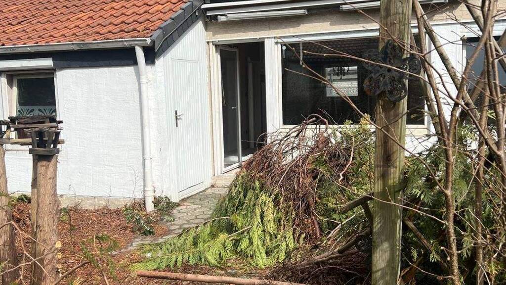 Reihenendhaus zum Kauf 169.000 € 1 Zimmer 90 m² 354 m² Grundstück frei ab sofort Schinkel-Ost Osnabrück 49084