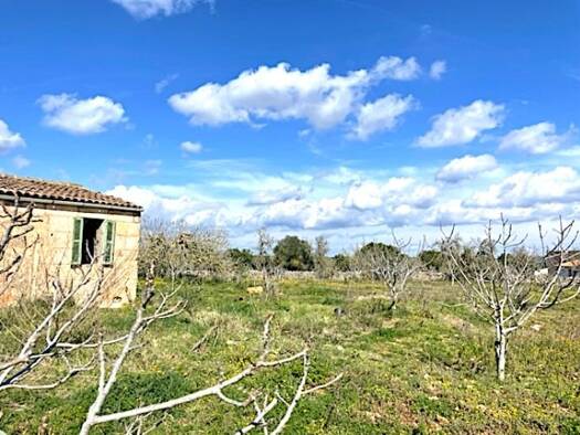 Grundstück zum Kauf provisionsfrei 345.000 € 16.250 m² Grundstück Petra