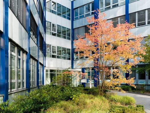 Büro zur Miete provisionsfrei 10,80 € 282 m² Bürofläche Lina-Ammon-Straße 19 Langwasser Nürnberg 90471