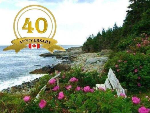 Mehrfamilienhaus zum Kauf 371.000 € 600 m² 408 m² Grundstück Liverpool Nova Scotia B0T1K0